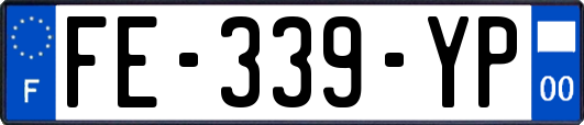 FE-339-YP