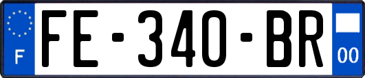 FE-340-BR