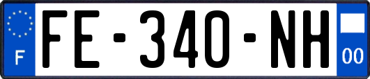 FE-340-NH
