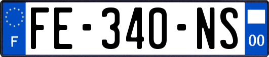 FE-340-NS