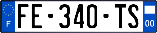 FE-340-TS