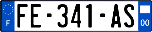 FE-341-AS