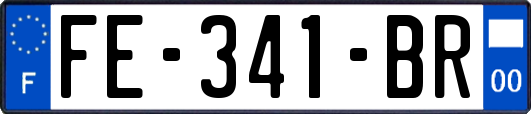 FE-341-BR
