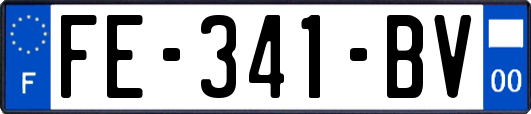 FE-341-BV