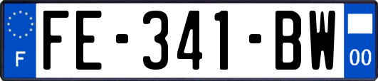 FE-341-BW