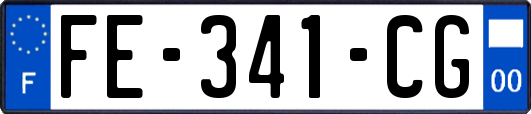 FE-341-CG