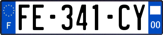 FE-341-CY