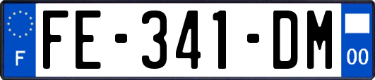 FE-341-DM