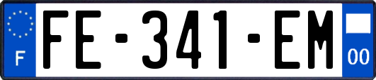 FE-341-EM