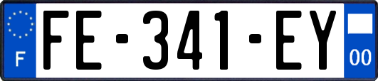FE-341-EY