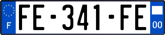 FE-341-FE