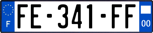FE-341-FF