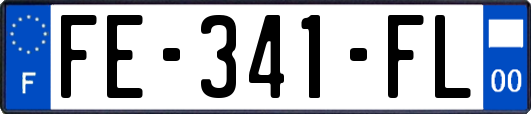 FE-341-FL