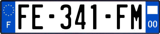 FE-341-FM