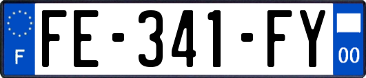 FE-341-FY