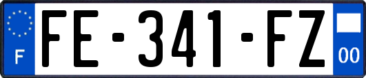 FE-341-FZ