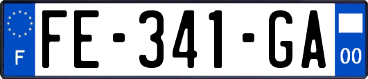 FE-341-GA