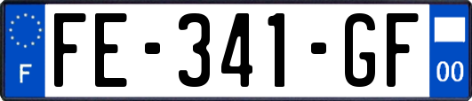 FE-341-GF