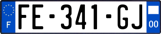 FE-341-GJ