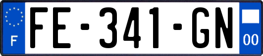 FE-341-GN