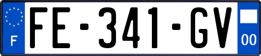 FE-341-GV
