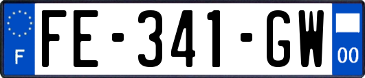 FE-341-GW