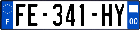 FE-341-HY