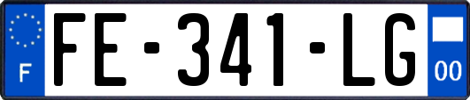 FE-341-LG