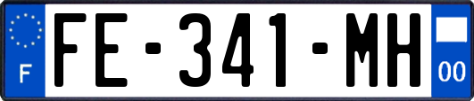 FE-341-MH