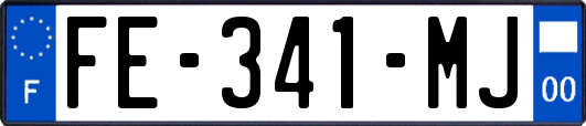 FE-341-MJ