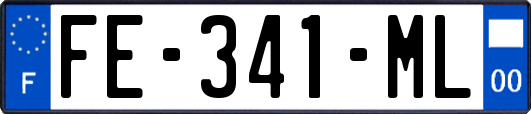 FE-341-ML