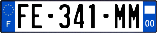 FE-341-MM