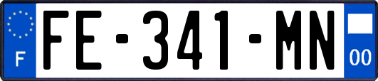 FE-341-MN