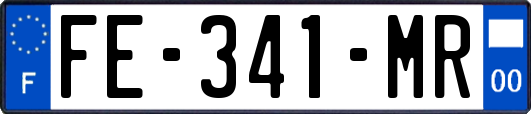 FE-341-MR