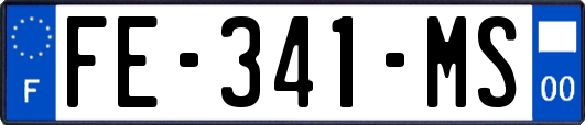 FE-341-MS