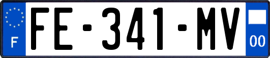 FE-341-MV