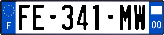 FE-341-MW
