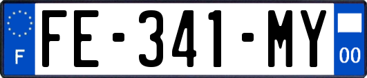 FE-341-MY