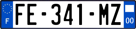 FE-341-MZ