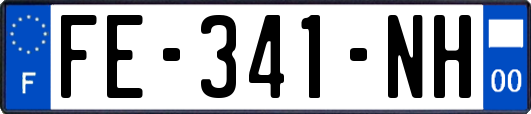 FE-341-NH