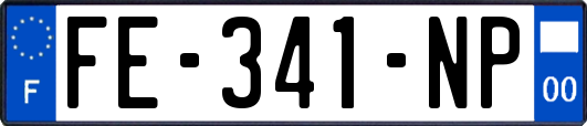 FE-341-NP