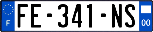 FE-341-NS