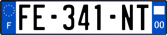 FE-341-NT
