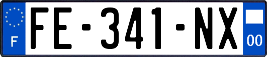 FE-341-NX