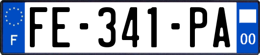 FE-341-PA