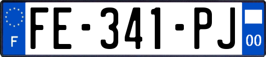 FE-341-PJ