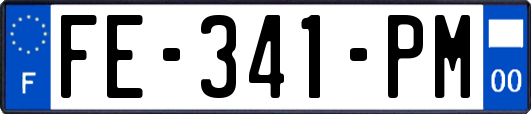 FE-341-PM