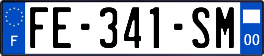 FE-341-SM