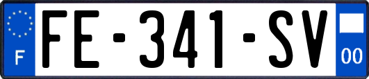 FE-341-SV