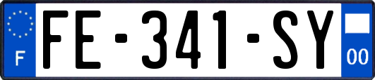 FE-341-SY